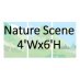 Nature Scene 4'Wx6'H